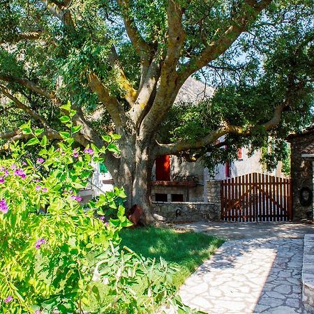 Menelia Cottage Platístoma 객실 사진